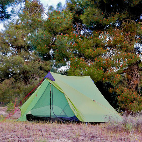 tente camping sous grand arbre